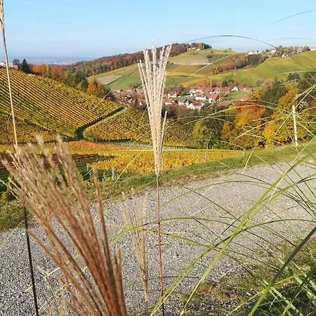 Weinstrassenapartment Fam. Dietrich شقة Ratsch an der Weinstraße