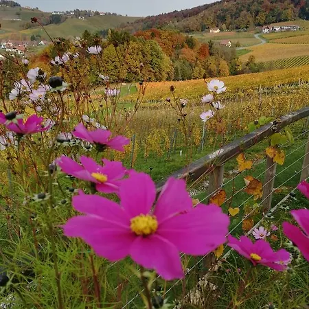 Weinstrassenapartment Fam. Dietrich