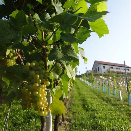 Διαμέρισμα Weinstrassenapartment Fam. Dietrich