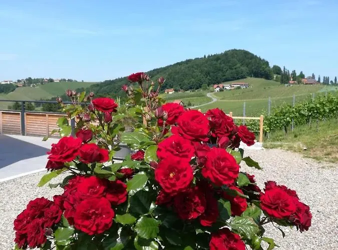 Weinstrassenapartment Fam. Dietrich 公寓 *