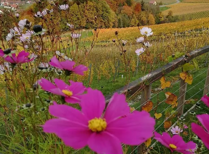 Weinstrassenapartment Fam. Dietrich