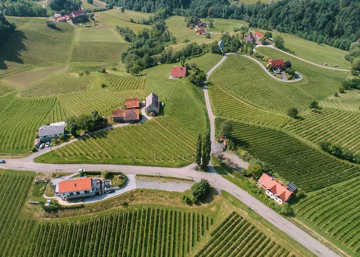 公寓 Weinstrassenapartment Fam. Dietrich Ratsch an der Weinstraße