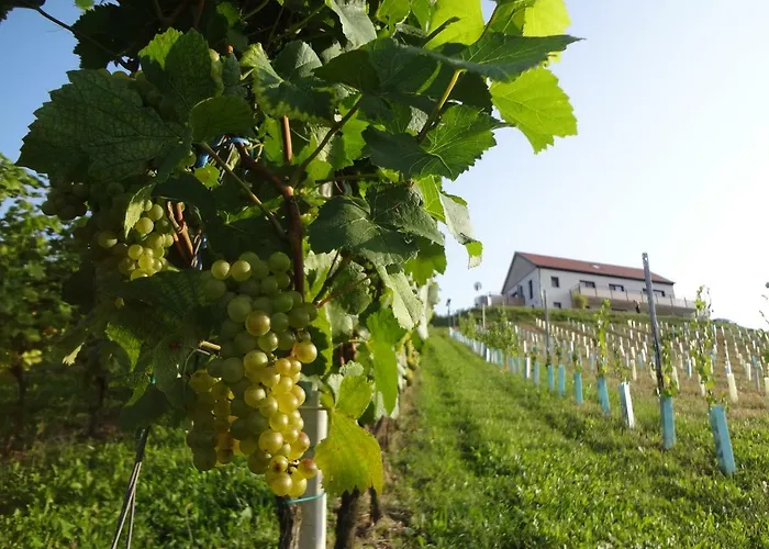 公寓 Weinstrassenapartment Fam. Dietrich