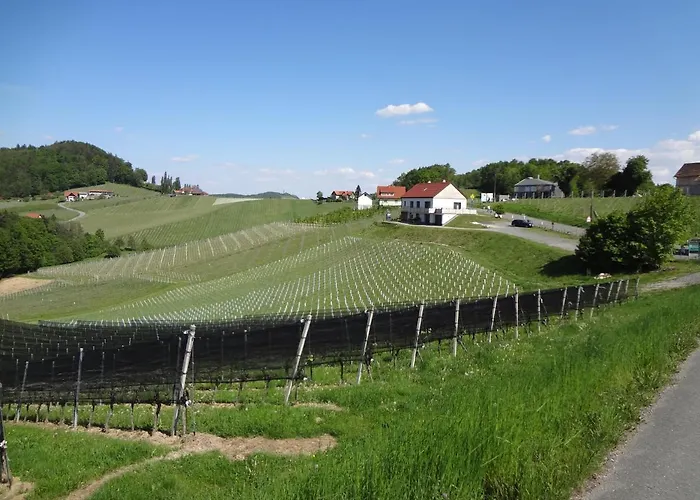 公寓 Weinstrassenapartment Fam. Dietrich Ratsch an der Weinstraße